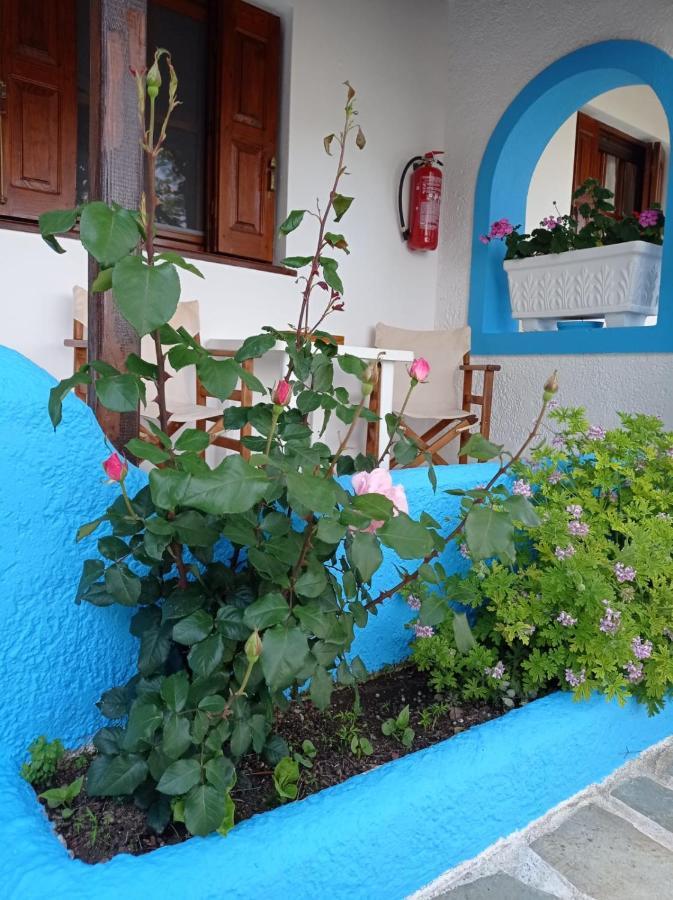 Studios Ioanna Limnionas Samos Marathókampos Exterior foto