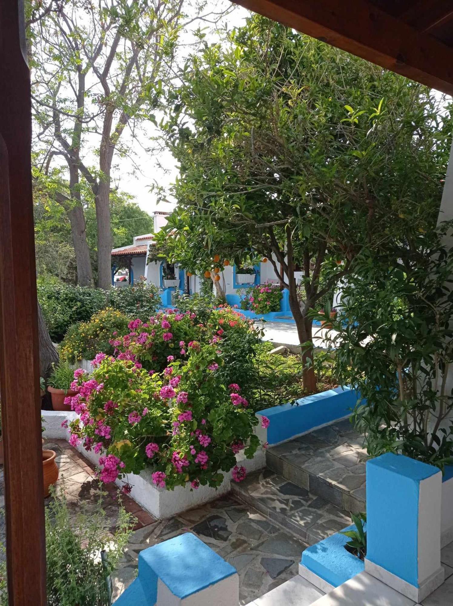 Studios Ioanna Limnionas Samos Marathókampos Exterior foto