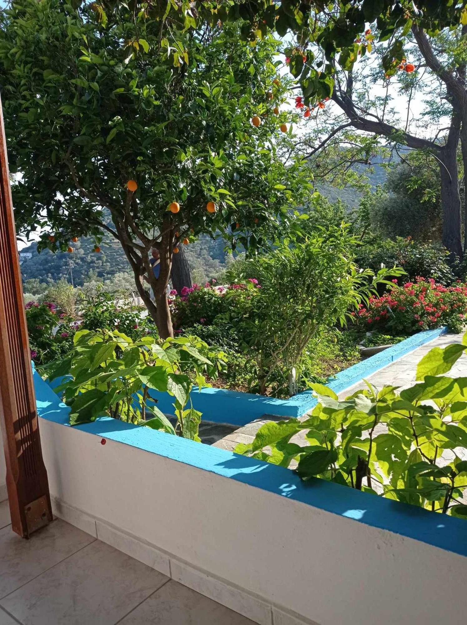 Studios Ioanna Limnionas Samos Marathókampos Exterior foto