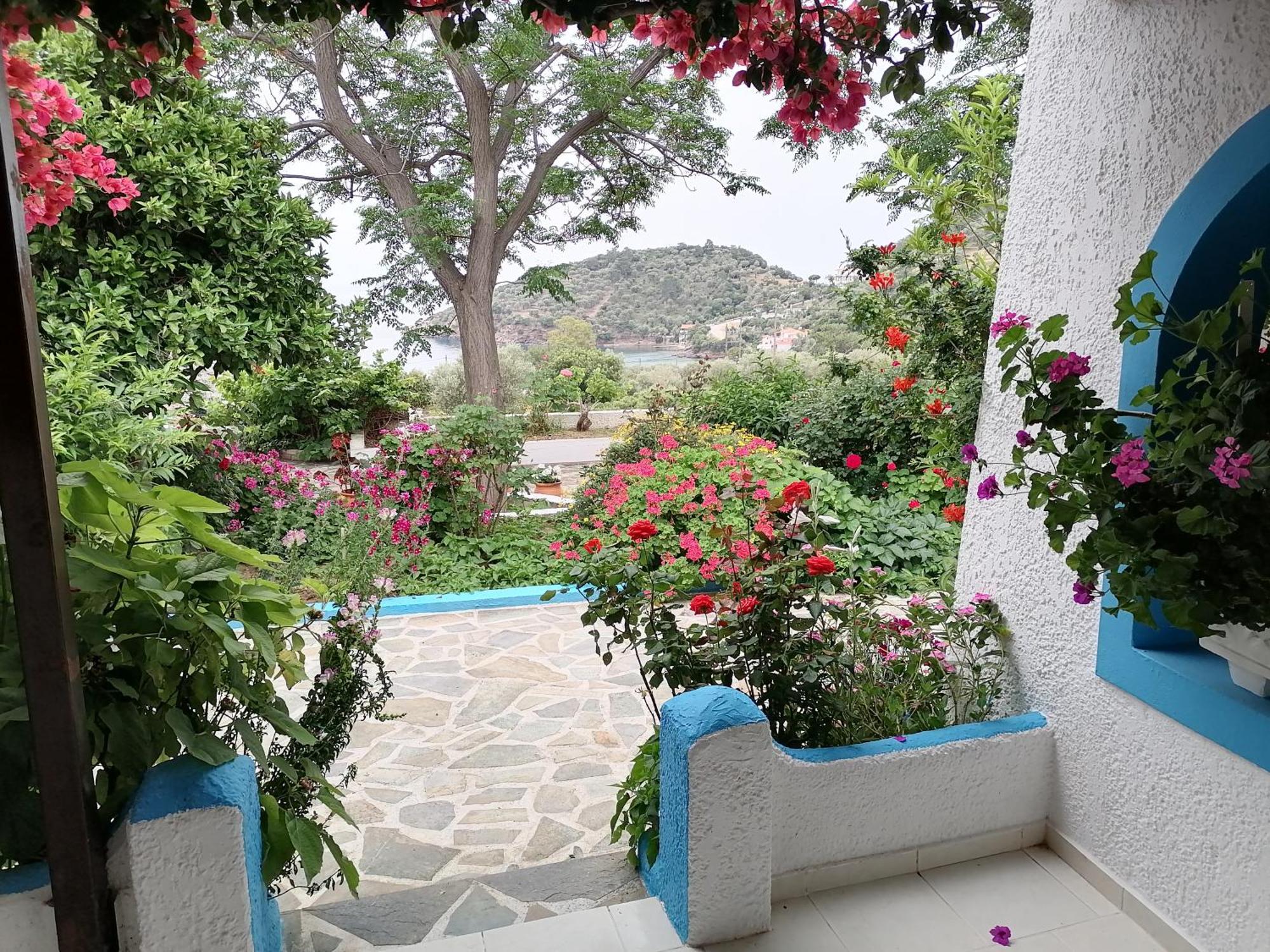 Studios Ioanna Limnionas Samos Marathókampos Exterior foto