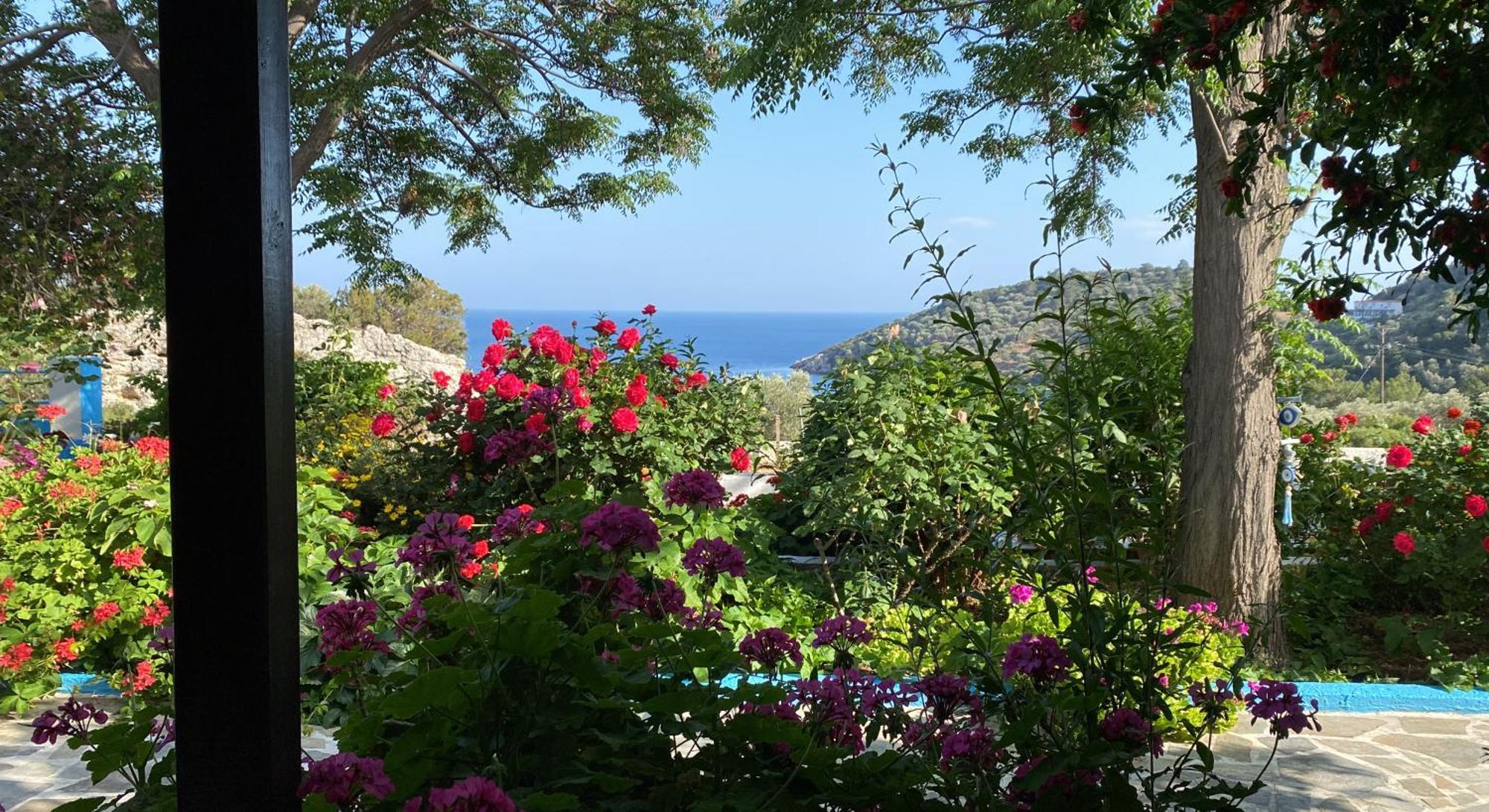 Studios Ioanna Limnionas Samos Marathókampos Exterior foto