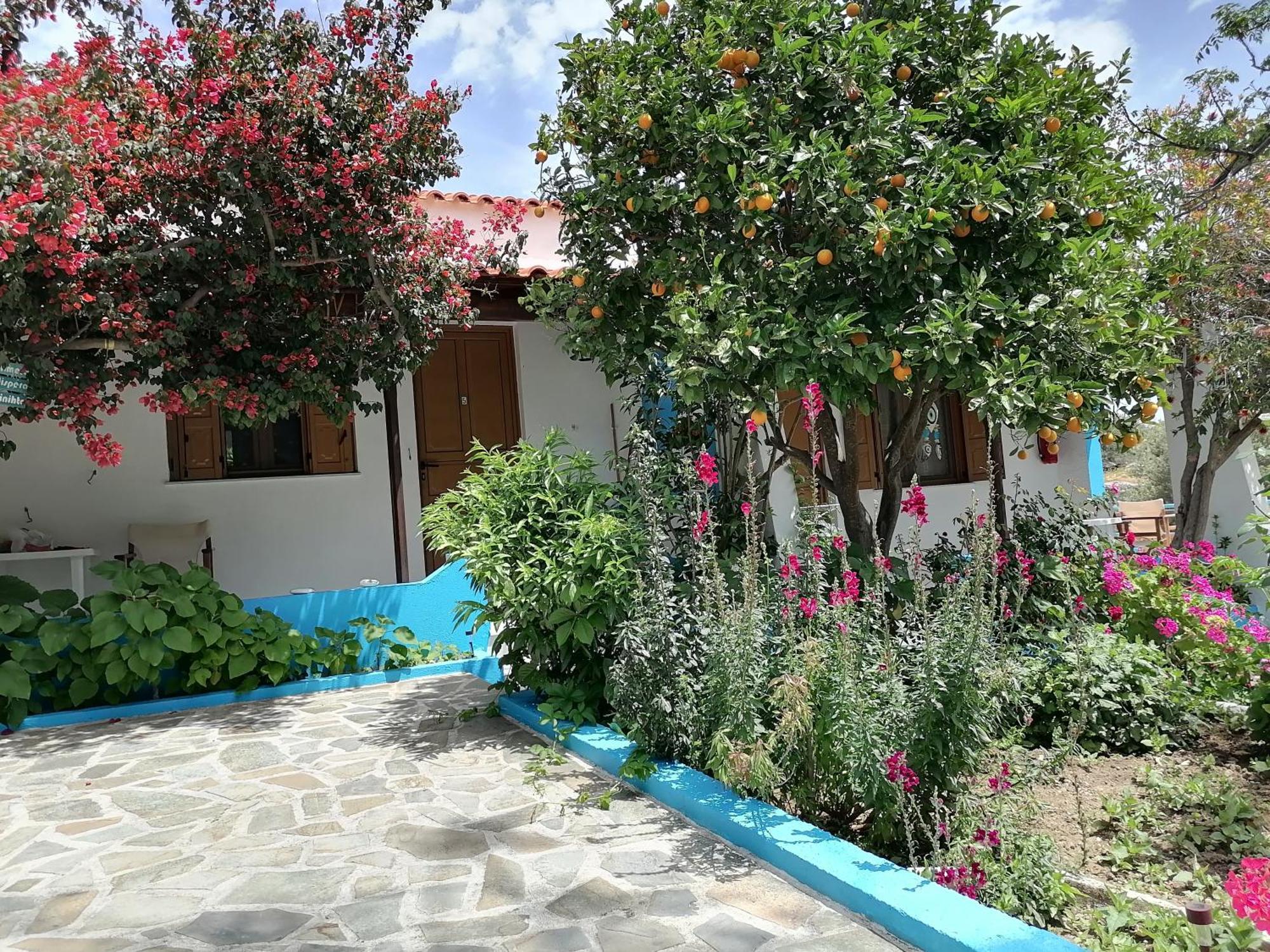 Studios Ioanna Limnionas Samos Marathókampos Exterior foto